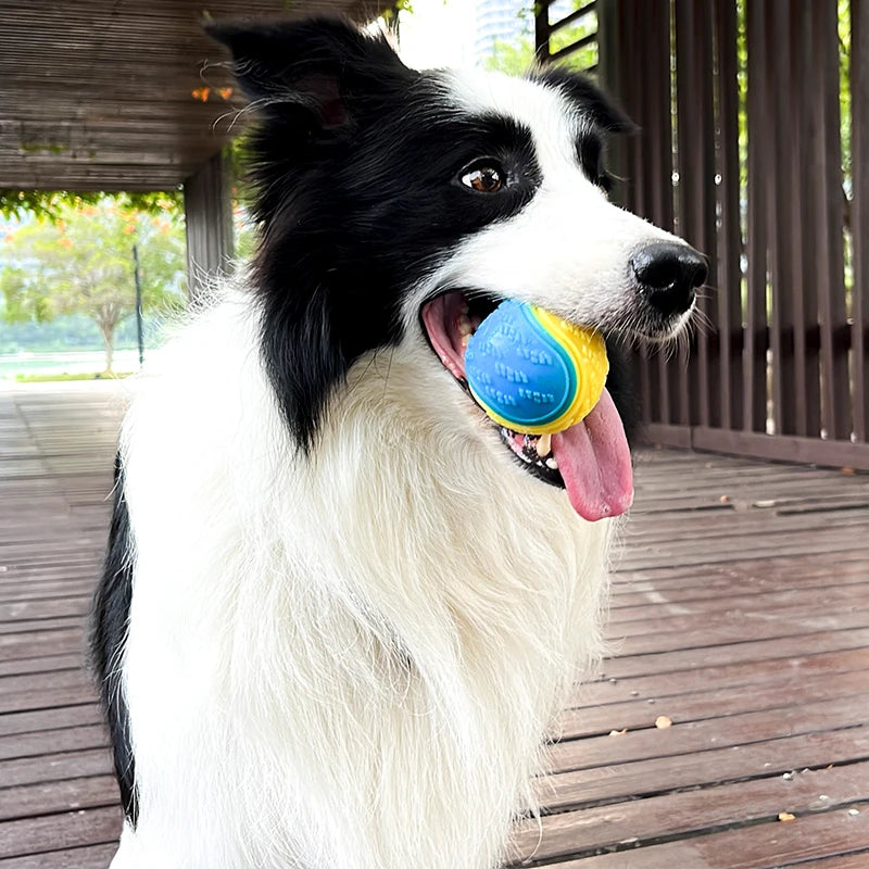 Bola Interativa para Cães